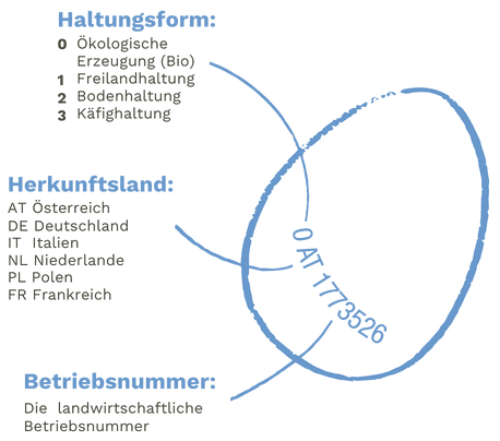 Augen auf beim Eierkauf