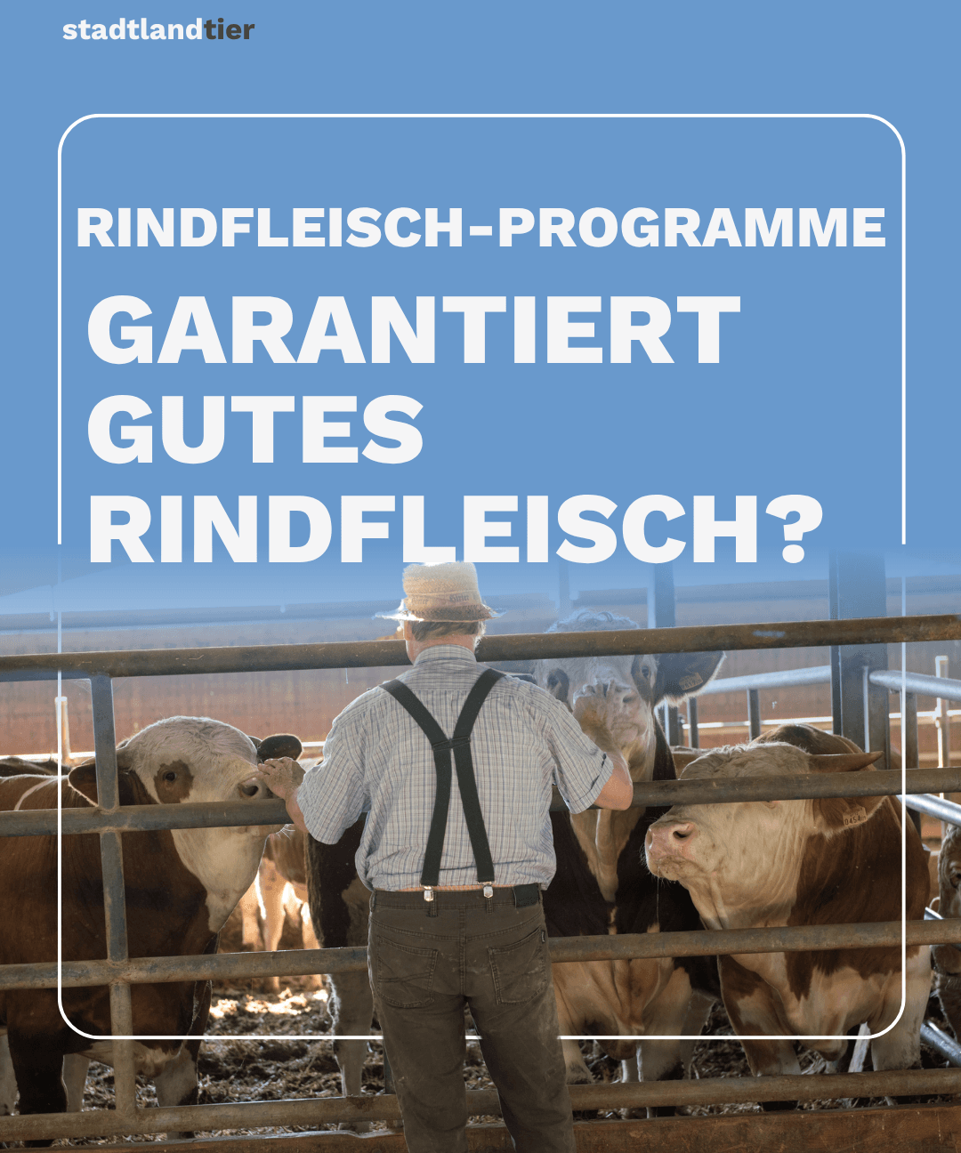 Rindfleischprogramme