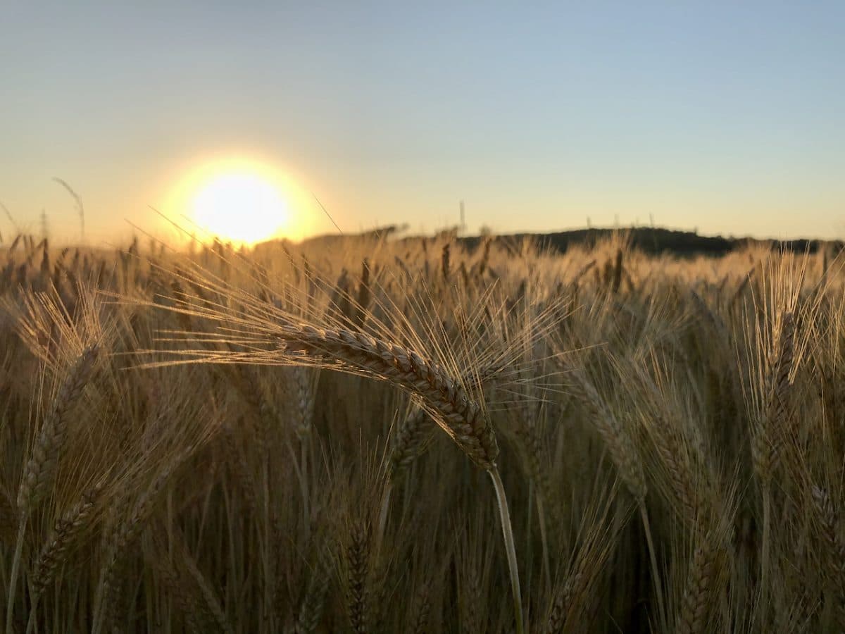 Flächennutzung in Österreich