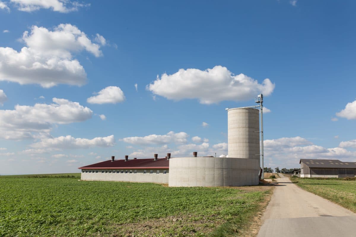 Betriebsgrößen im Ländervergleich Schwein