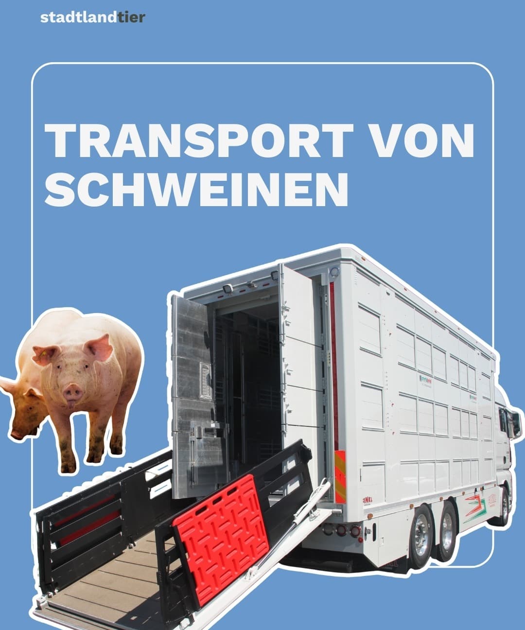 Transport und Schlachthof