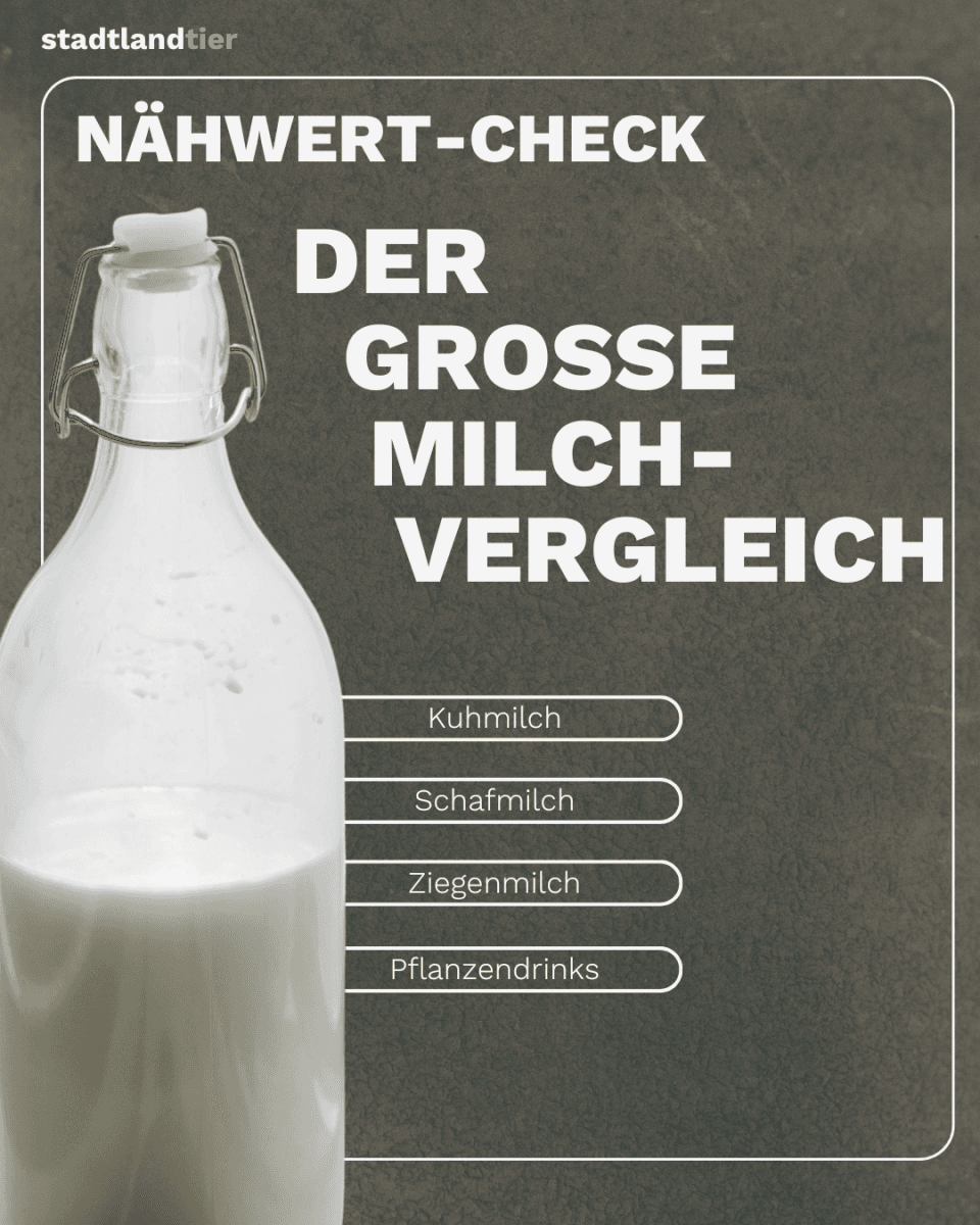 Milchvergleich