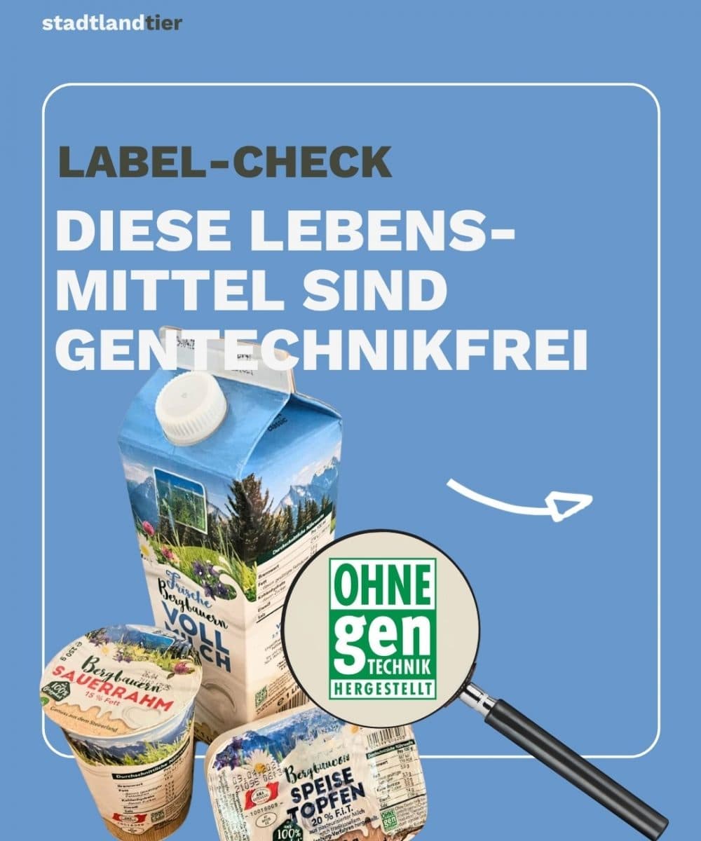 Gentechnik in Lebensmittel