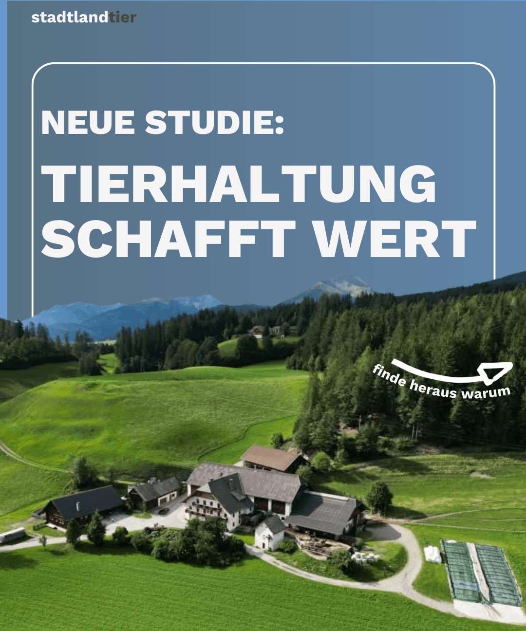 Studie: Wirtschaftsmotor Stall