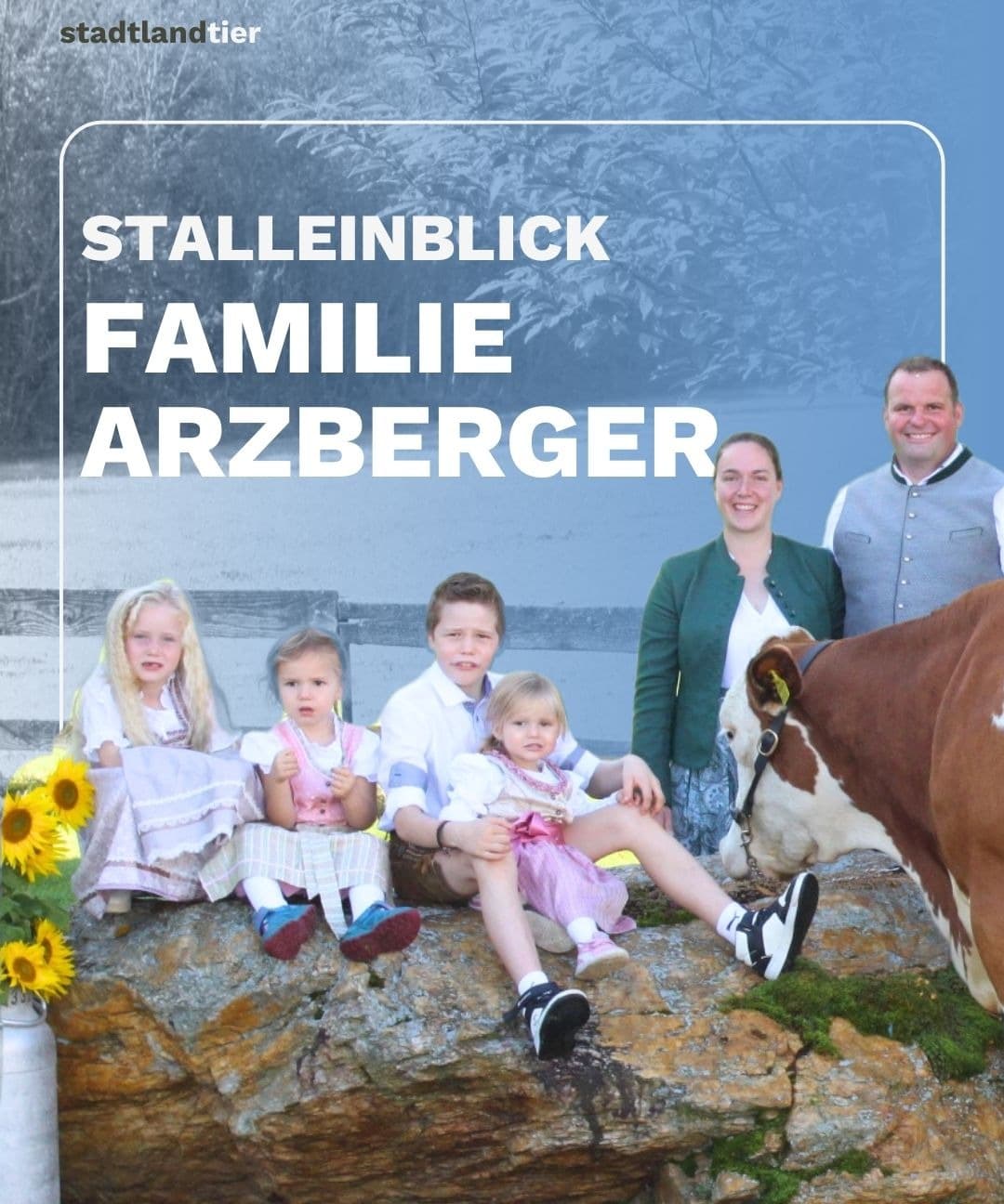 Stalleinblick Milchviehbetrieb