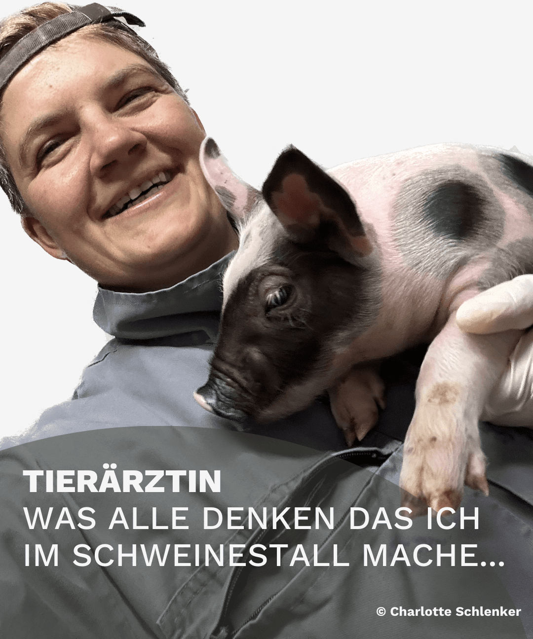 Stalleinblick Tierärztin