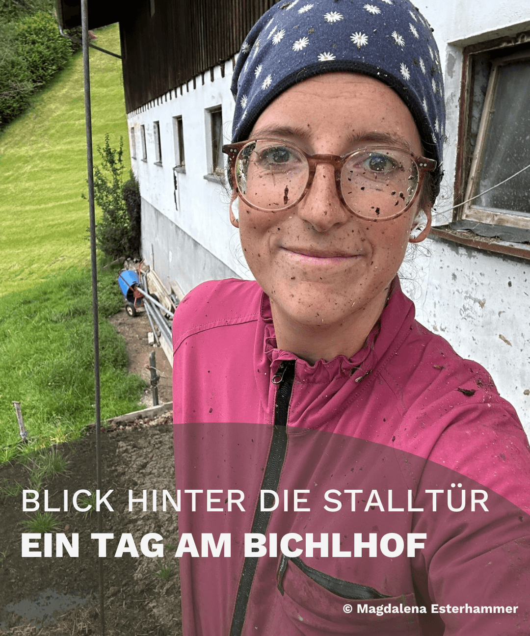 Stalleinblick Bichlhof