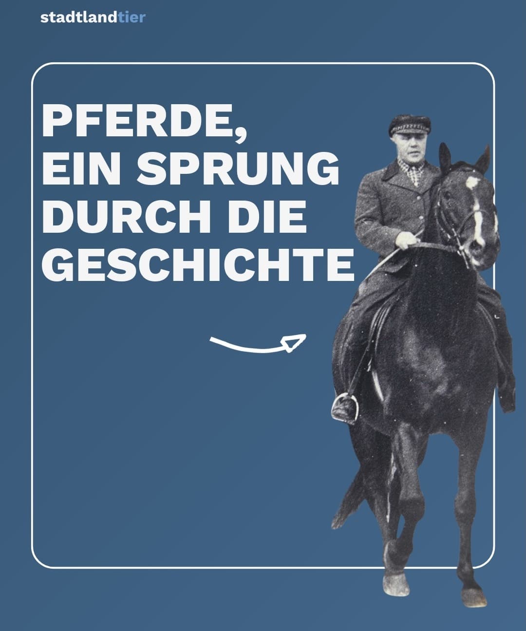 Pferde – ein Sprung durch die Geschichte