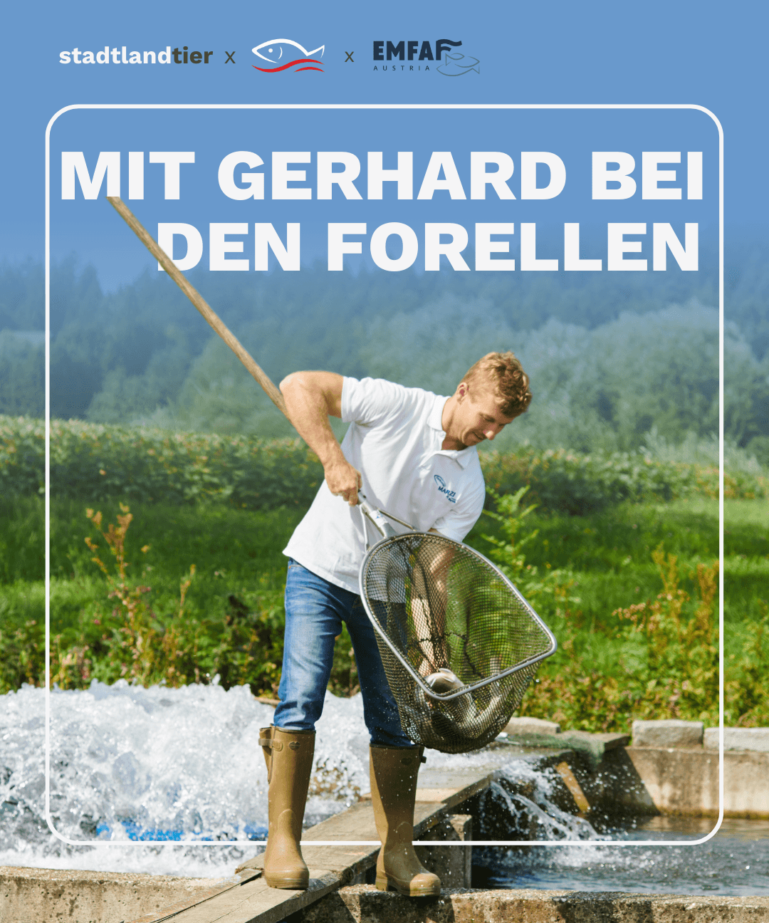 Stalleinblick Forellenbetrieb