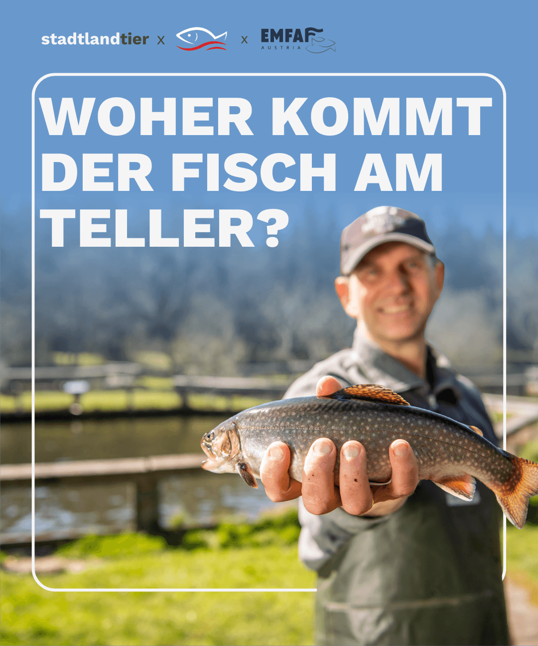 Fischproduktion