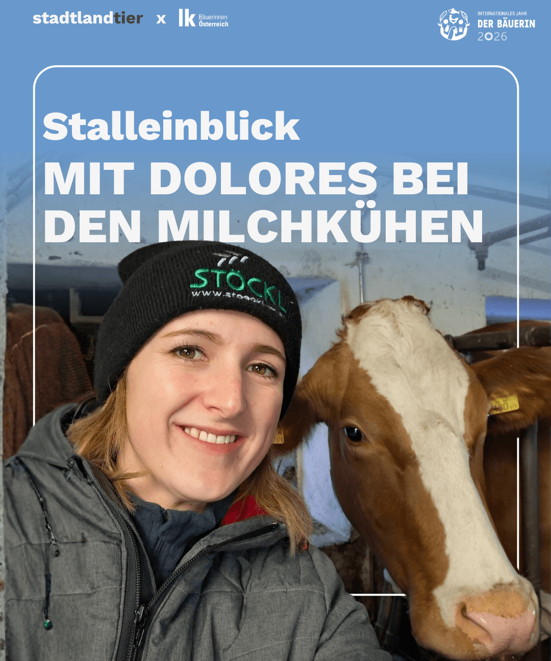 Stalleinblick Milchbäuerin